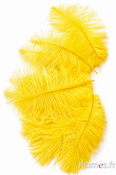Struisvogel  - 13-18 cm - geel